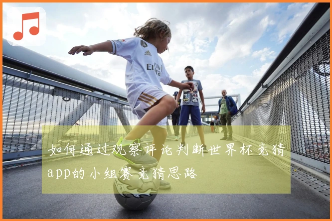 如何通过观察评论判断世界杯竞猜app的小组赛竞猜思路