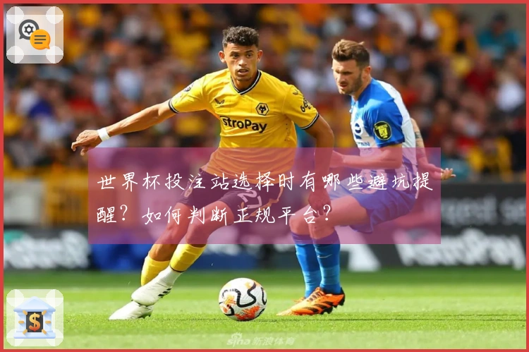 世界杯投注站选择时有哪些避坑提醒？如何判断正规平台？